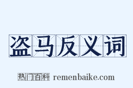 盗马反义词是什么意思的图片